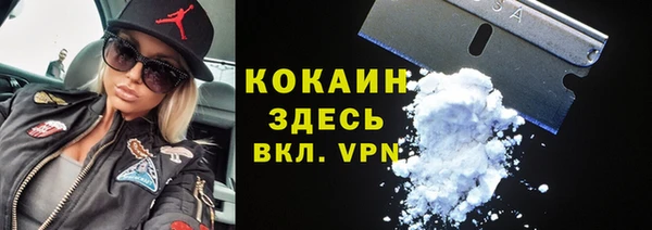 индика Белокуриха