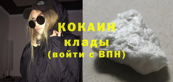 индика Белокуриха